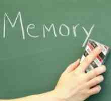 Memorija kao mentalni proces
