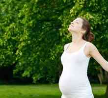 Papiloma tijekom trudnoće