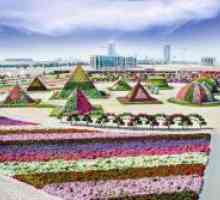 Cvjetni park u Dubaiju