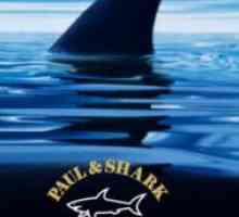Paul shark
