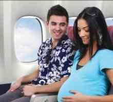 Letovi u ranoj trudnoći