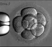 Prijenos embrija dana 3