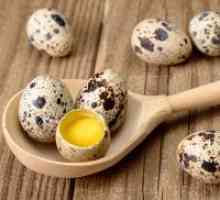 Prepelice jaja - korisna svojstva