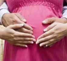 Prvi miješanje fetusa tijekom trudnoće