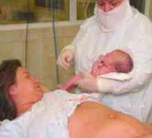 Prvi porod