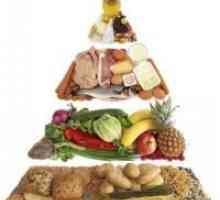 Piramida hrane