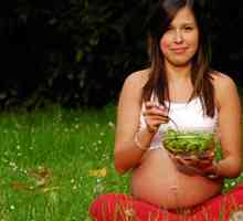 Prehrana trudnica u drugom tromjesečju