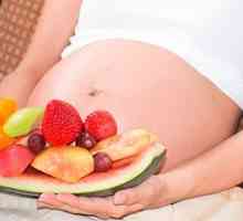Prehrana u trudnoći