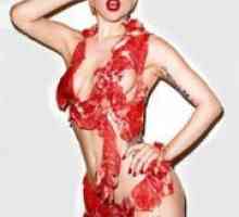 Meso haljina Lady Gaga