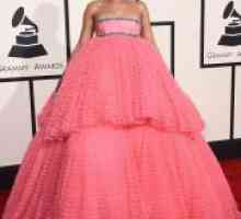 Rihanna haljinu na „Grammy” u 2015. godini