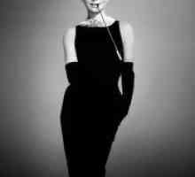 Haljina u stilu Audrey Hepburn