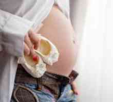 Fetus 18 tjedana trudnoće
