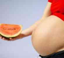 Zašto trudnice ne bi trebali jesti lubenicu i dinju?