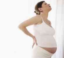 Zašto trudnice ne mogu čučanj?