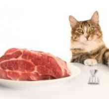 Zašto se mačka ne jede?