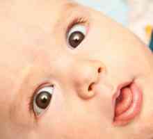 Zašto malo dijete odudara svojim jezikom