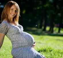 Zašto se ne mogu dobiti živčani tijekom trudnoće