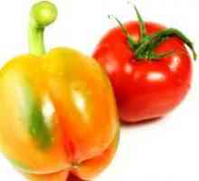 Gnojenje sadnica rajčice i paprike