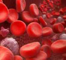Povišeni leukociti u krvi - uzroci