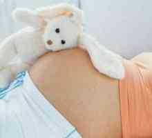 Kasno ovulacije i trudnoća
