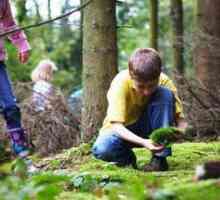Pravila ponašanja u šumi za djecu - Podsjetnik
