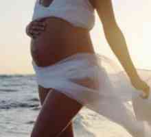 Preeklampsija trudna
