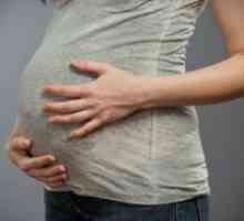 Prekid trudnoće u 22 tjedna