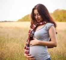 Uzroci pobačaja u ranoj trudnoći