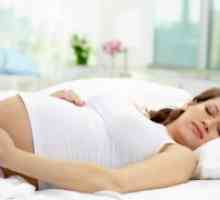 Prolaktin i trudnoća