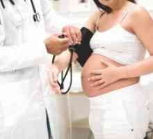 Puls tijekom trudnoće