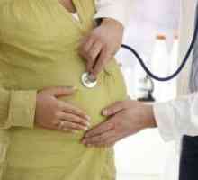 Pulsiranje trbuh u trudnoći