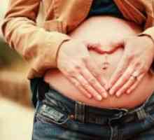 Pupak tijekom trudnoće
