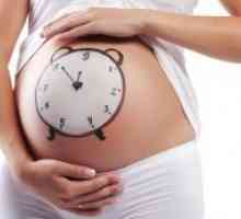 Izračun trajanja trudnoće