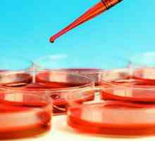 Dekodiranje krvnih testova u djece