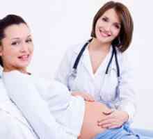 Veličina maternice po tjedan trudnoće