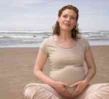 Dimenzije maternice tijekom trudnoće