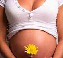 Razvoj djeteta u maternici