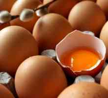Muskoka recepti za kosu s jajima
