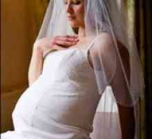 Registracija braka za vrijeme trudnoće