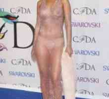 Rihanna u prozirnom haljini 2014