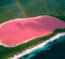 Pink Jezero Hillier, Australija