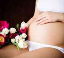 Pink iscjedak u ranoj trudnoći