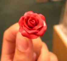 Ruže polimera gline