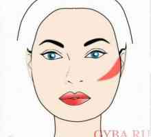 Ruddy ljepotu: kako primijeniti rumenila za okruglog lica