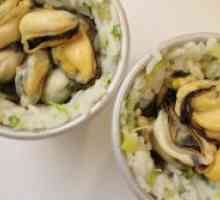 Salata školjaka s riže