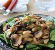 Salata od gljiva i graha