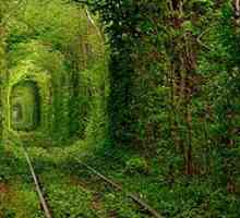 Najljepše prirodne tuneli na svijetu