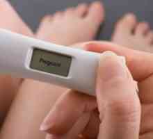 Najosjetljiviji test za trudnoću