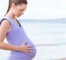 Sedlasta maternica i trudnoća
