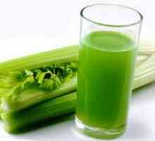 Celer dijeta - recepti